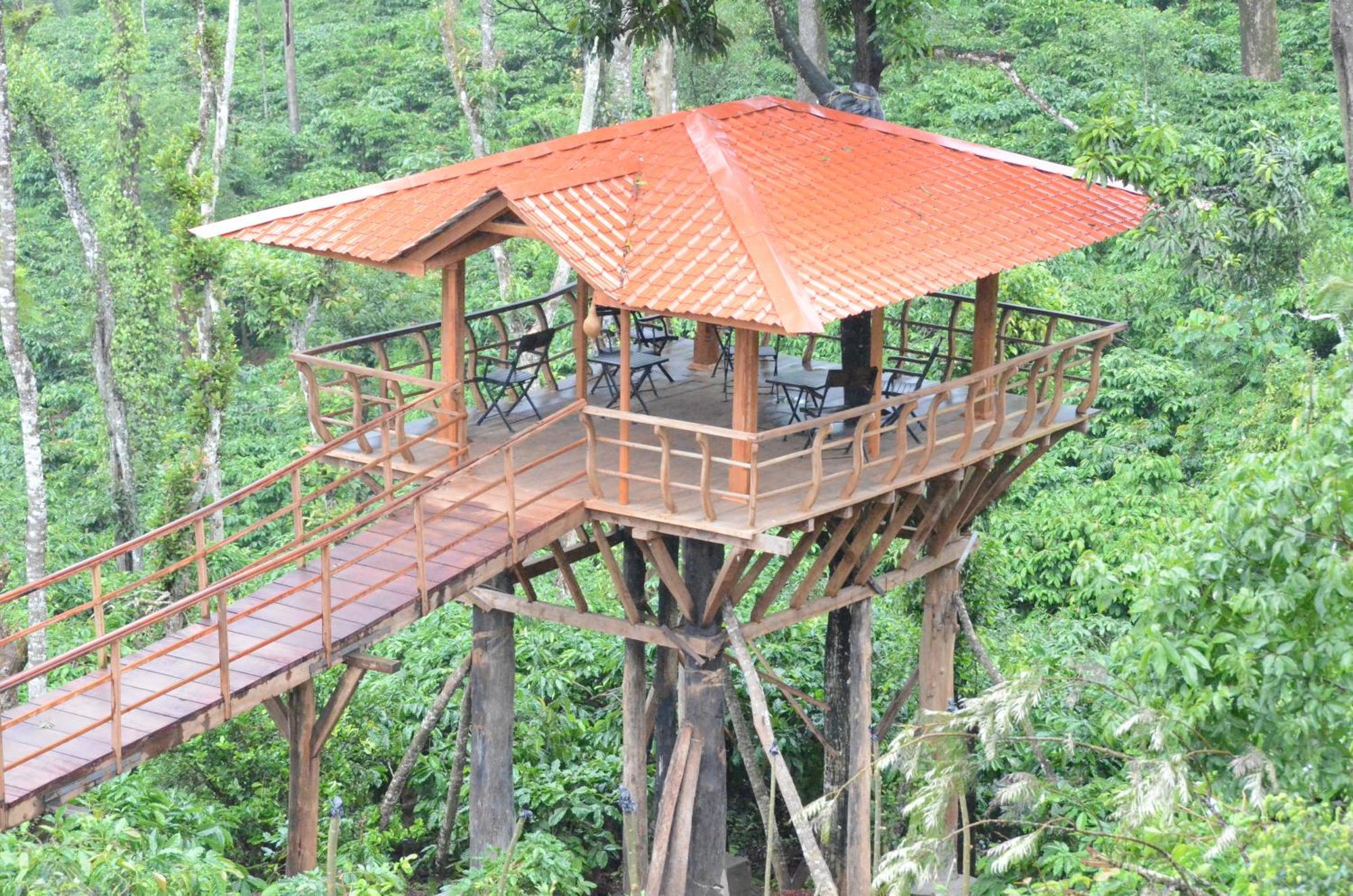 Ibbanicadu Estate Homestay Madikeri Extérieur photo